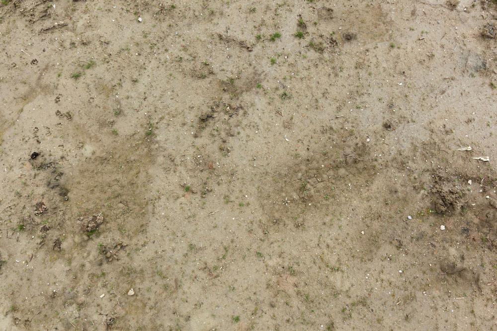 土壤養(yǎng)分速測儀、