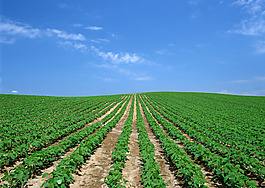 土壤養(yǎng)分速測儀