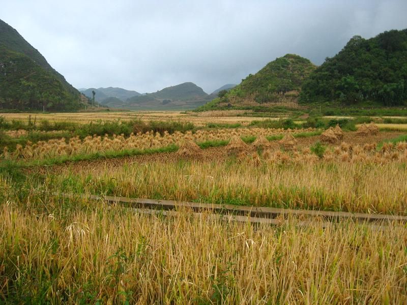 土壤養(yǎng)分肥料檢測(cè)儀