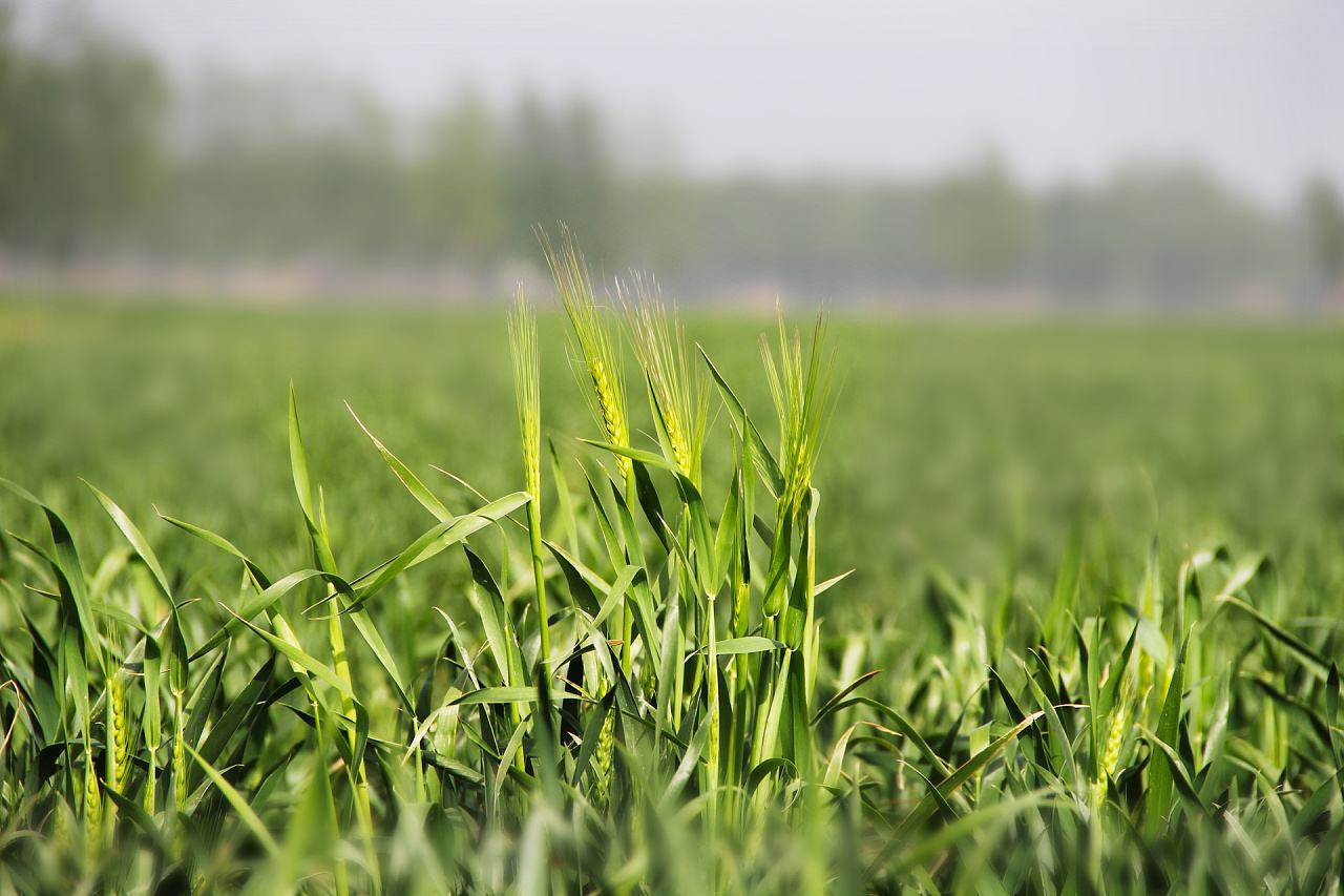 土壤養(yǎng)分快速檢測(cè)儀