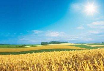 土壤養(yǎng)分肥料檢測(cè)儀