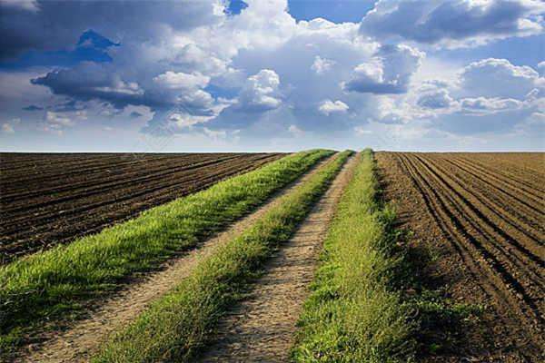 全項(xiàng)目土壤肥料養(yǎng)分檢測(cè)儀